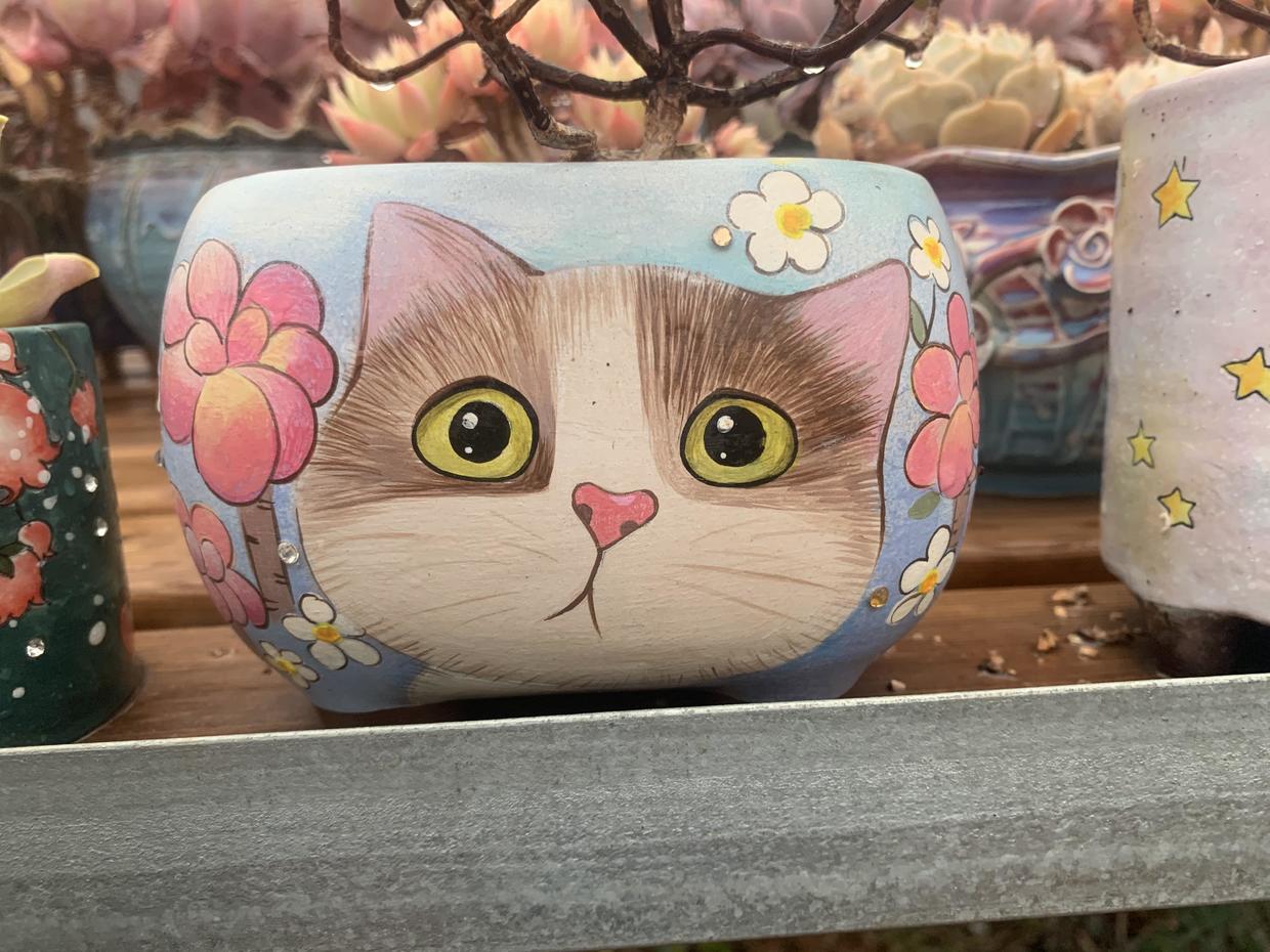 上百块的花盆，有必要买吗？2块的塑料盆，一样能养多肉！休闲区蓝鸢梦想 - Www.slyday.coM