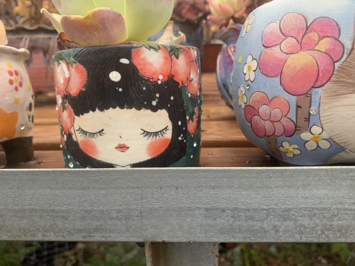 上百块的花盆，有必要买吗？2块的塑料盆，一样能养多肉！休闲区蓝鸢梦想 - Www.slyday.coM