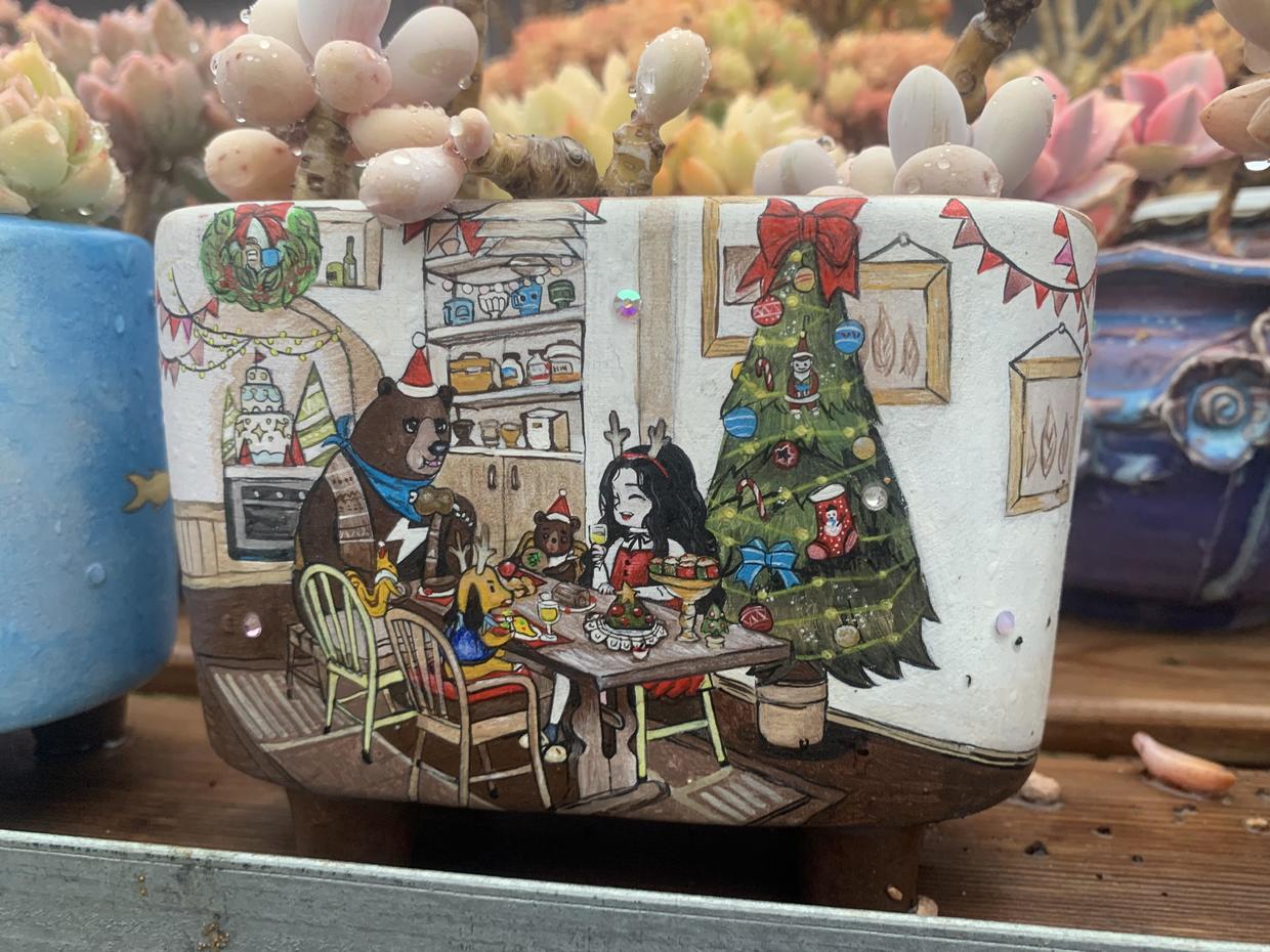 上百块的花盆，有必要买吗？2块的塑料盆，一样能养多肉！休闲区蓝鸢梦想 - Www.slyday.coM