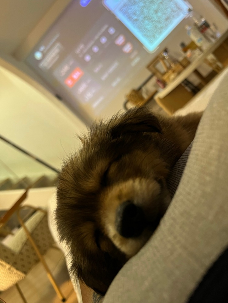 李添荣女友晒小奶狗：小发发 你是我们888天的礼物🎁休闲区蓝鸢梦想 - Www.slyday.coM