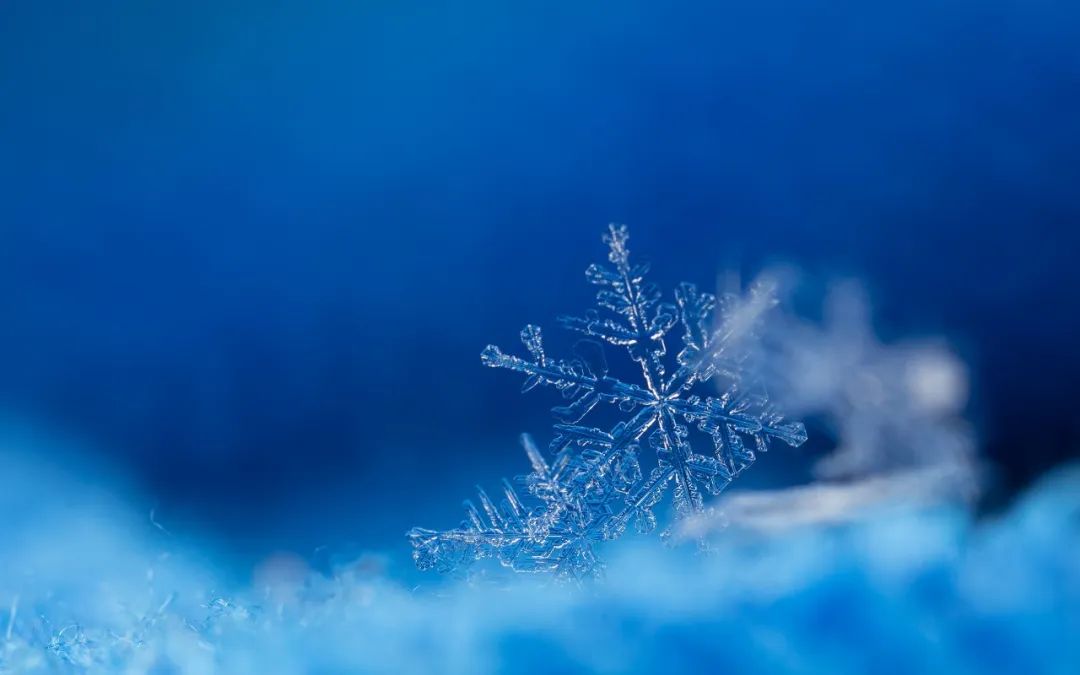 教育休闲区蓝鸢梦想 - Www.slyday.coM