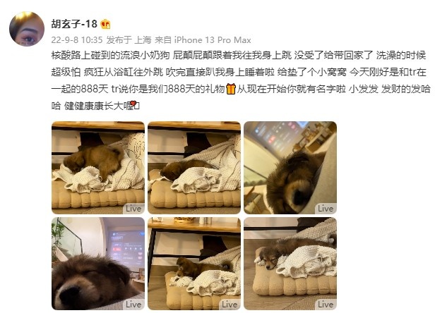 李添荣女友晒小奶狗：小发发 你是我们888天的礼物🎁休闲区蓝鸢梦想 - Www.slyday.coM