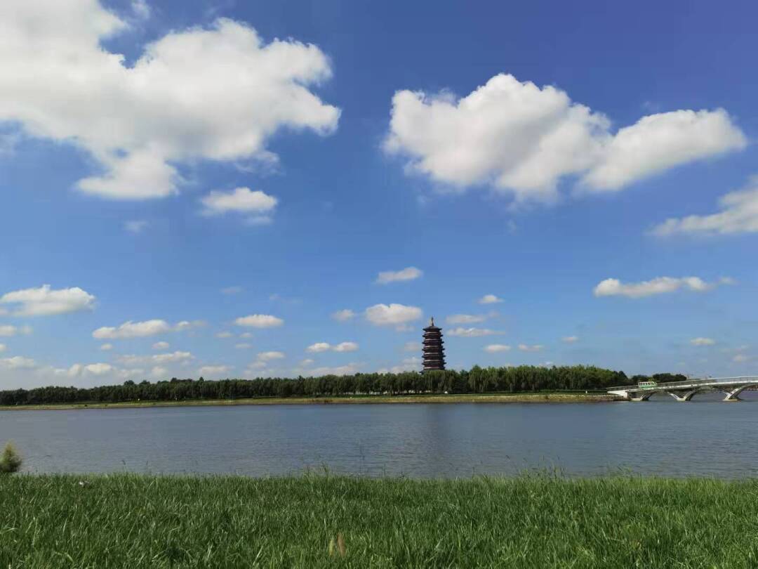 东营市河口区抢抓黄河流域高质量发展机遇 建设生态良好美丽河口|东营