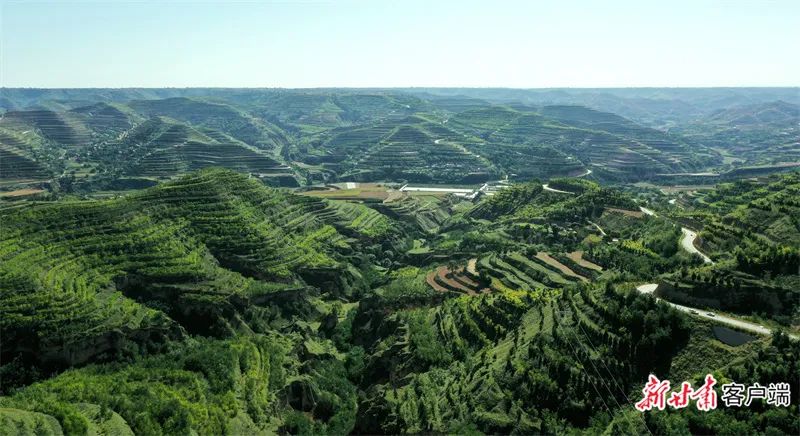 镇原县孟坝镇塬口村.新甘肃·甘肃日报通讯员 田永昭  