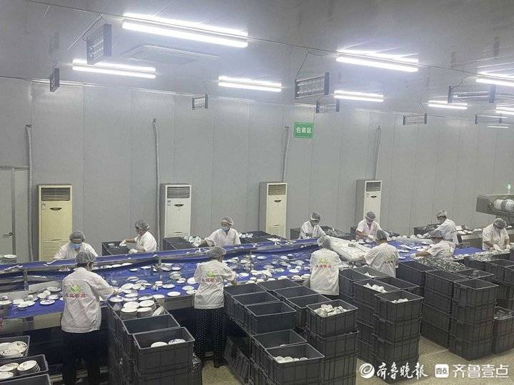 中秋假期消毒餐具使用量至少翻一番，山东一天要用800万套以上休闲区蓝鸢梦想 - Www.slyday.coM
