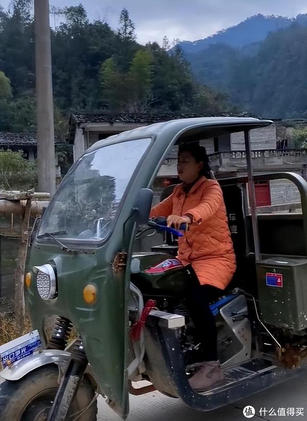 36岁乡愁沈丹的真实生活,挖笋、种地、砍柴,网友:佩服又感动__财经头条