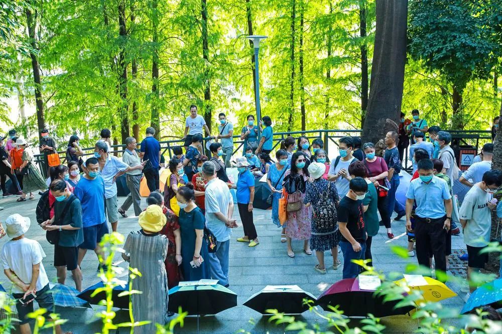 爸妈们拼了广州天河公园相亲角为子女觅缘