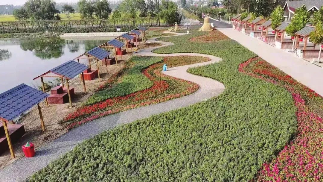 【天津边界行】宝坻区八门城镇:欢喜庄的第一口螃蟹|无人机_新浪财经