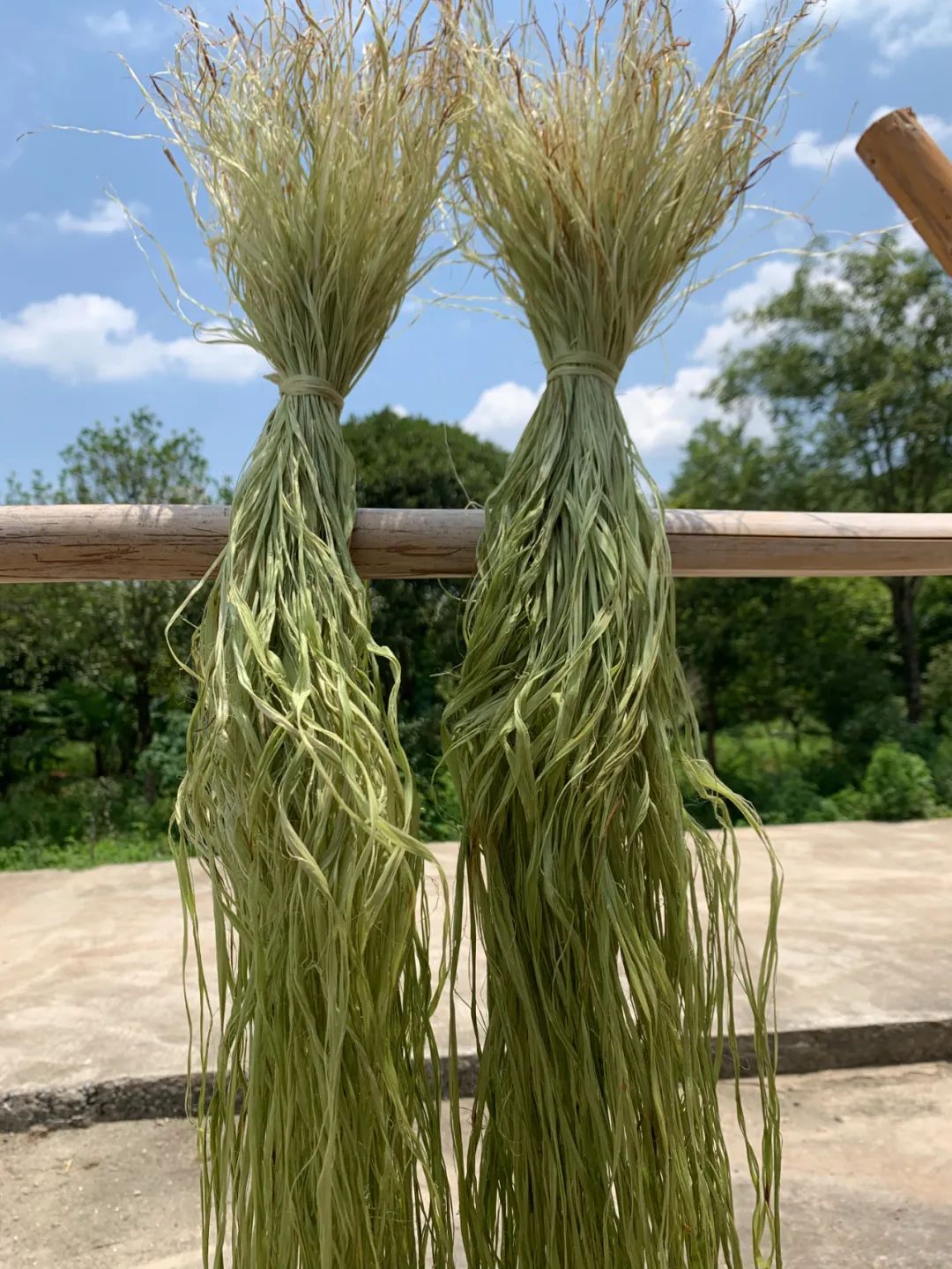 从《诗经》里走出来的非遗夏布包,美得不可方物!|夏布|苎麻|万载_新浪新闻