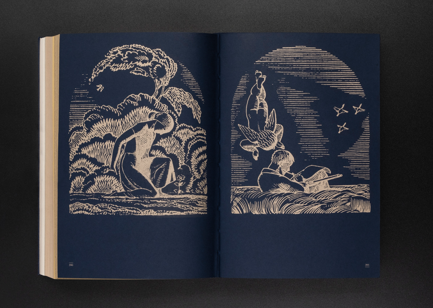 一书精选肯特的创作,装饰画,插图,藏书票,油画等不同艺术形式的作品三