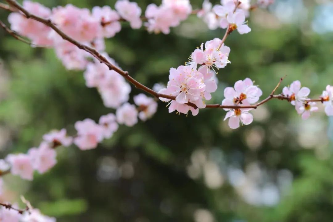 男人越爱你，他的“本能反应”就越明显