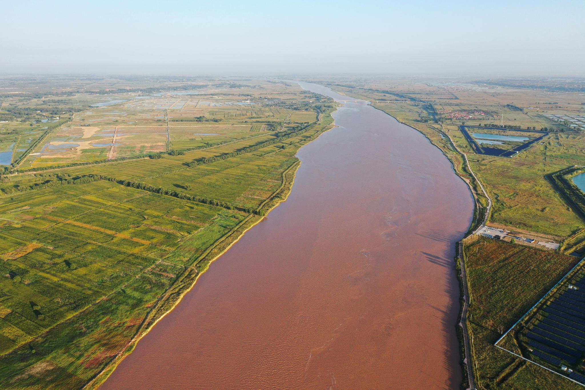 秋染黄河岸|黄河|内蒙古_新浪新闻
