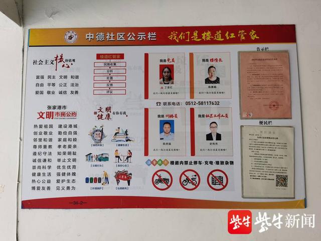 中标结果公告多久