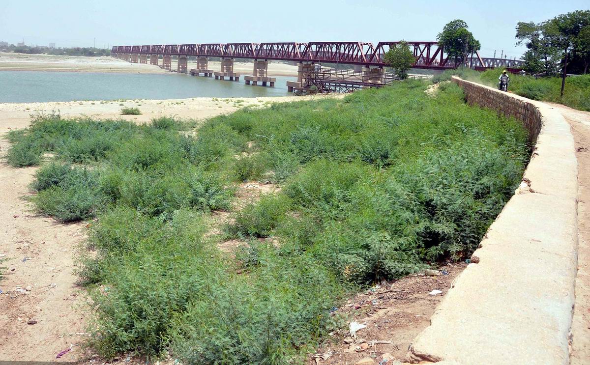 巴基斯坦拉合尔,当地遭遇高温天气,人们跳入运河中解暑