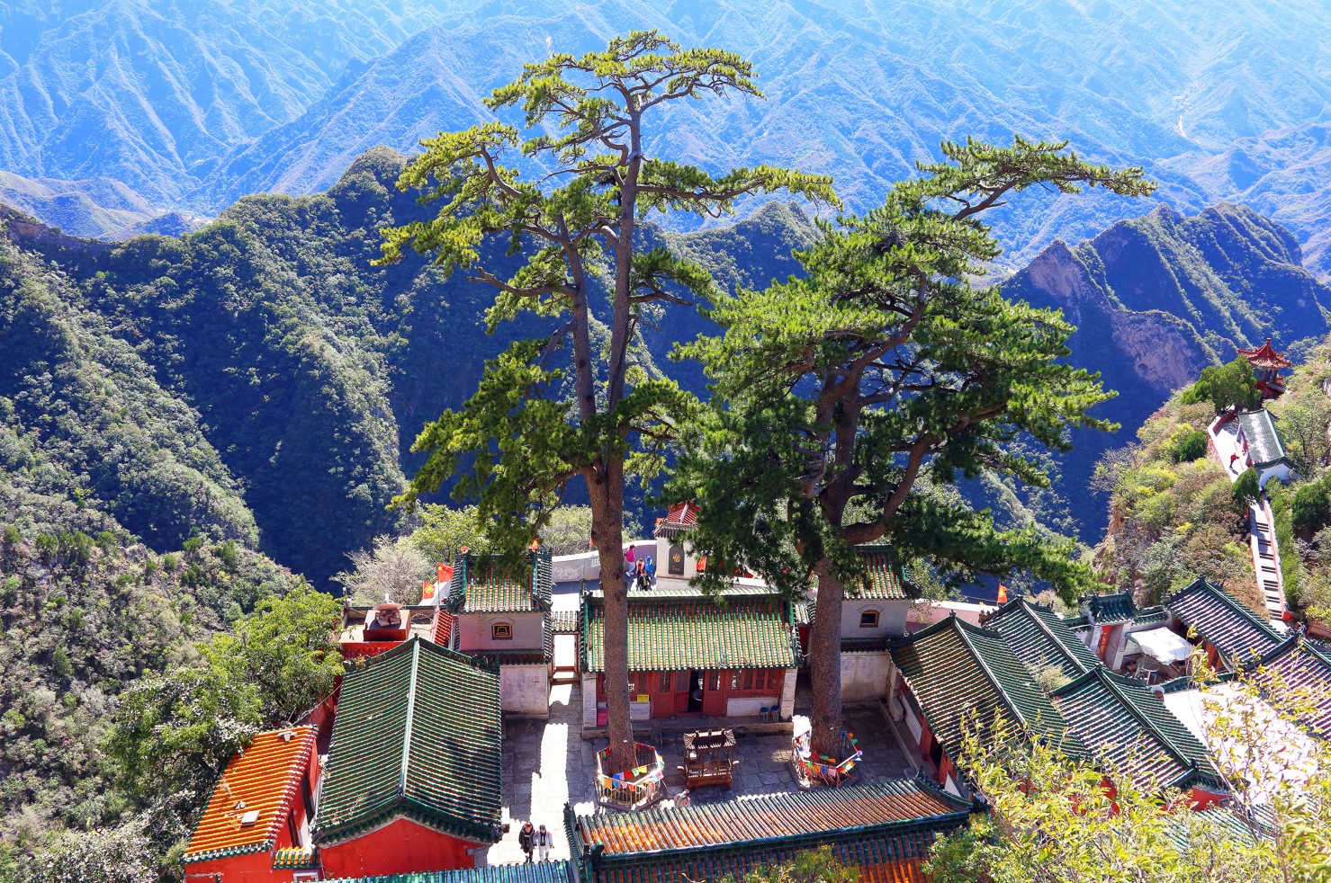 第二次全国古树名木资源普查公布 5000年以上古树有5株休闲区蓝鸢梦想 - Www.slyday.coM