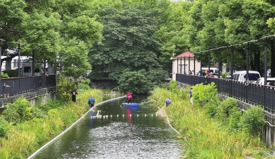 沽西浜中的一条鳄雀鳝被成功捕获休闲区蓝鸢梦想 - Www.slyday.coM