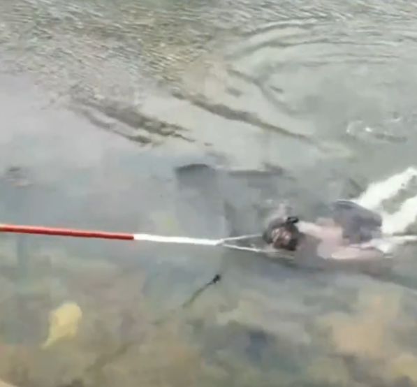 浙江一女子:在禁游区游泳,被大爷套头拉回,网友:套马的汉子休闲区蓝鸢梦想 - Www.slyday.coM 浙江一女子:在禁游区游泳,被大爷套头拉回,网友:套马的汉子休闲区蓝鸢梦想 - Www.slyday.coM