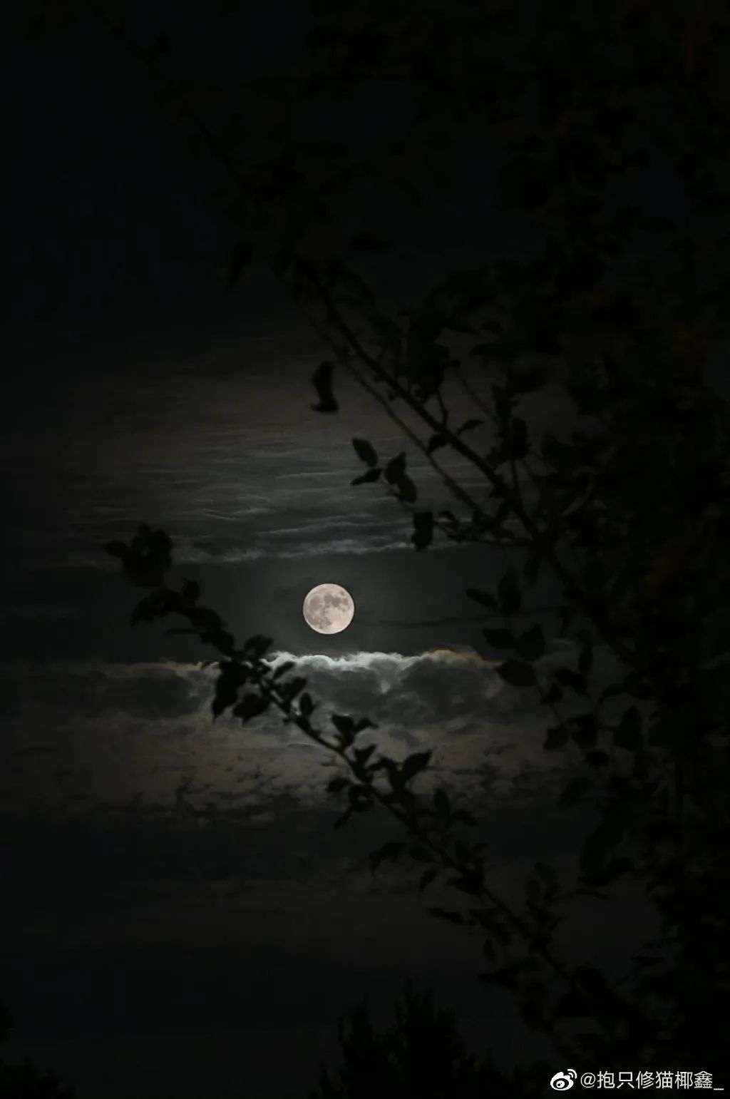 中秋摄影大赛来啦！太空拍到的月亮长啥样？赏月毕，风雨来，台风“梅花”正靠近休闲区蓝鸢梦想 - Www.slyday.coM