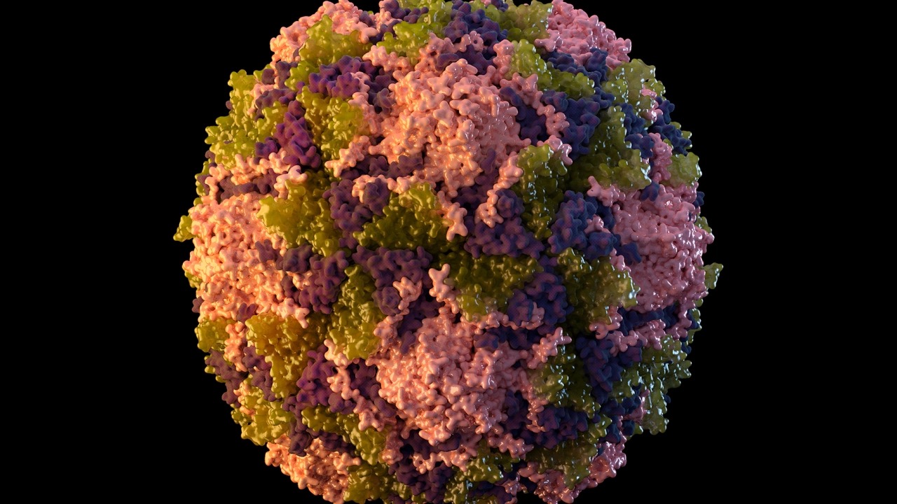 美国疾病控制和预防中心2014年公布（描绘的）脊髓灰质炎病毒颗粒。