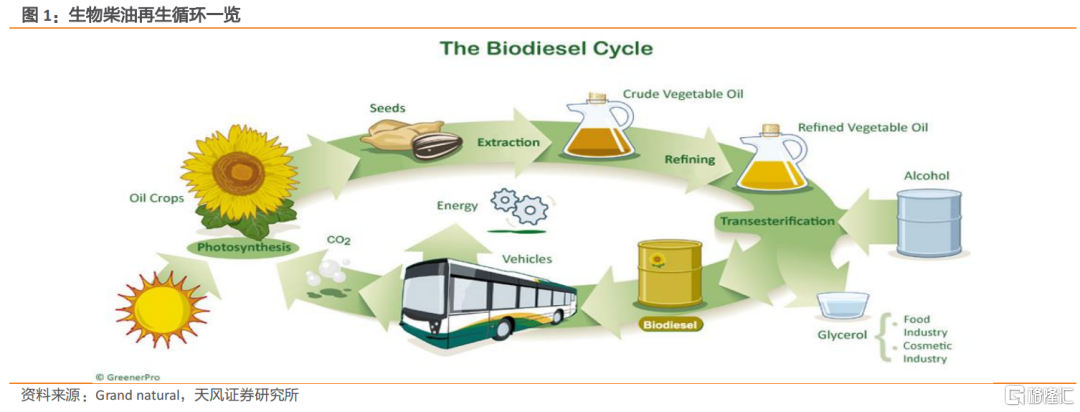 柴油价格多少钱一升 不同地区柴油价格变化趋势