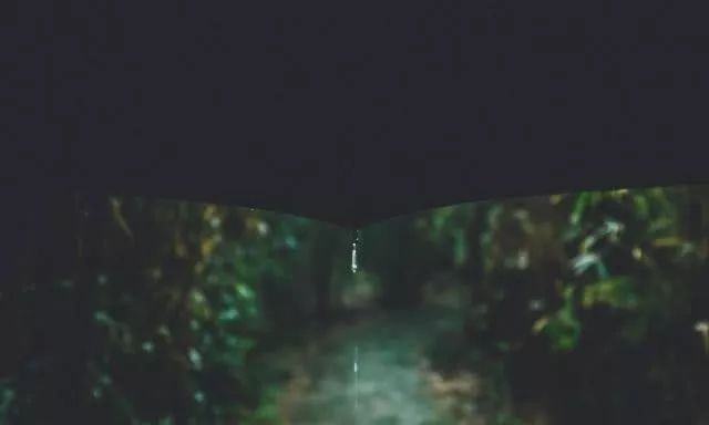 40岁的白居易想起初恋，半夜失眠，写出一场千年来最凄美的夜雨__财经头条