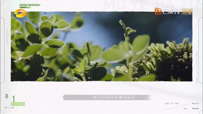 《牧野家族》收视率靠容祖儿，给猪洗澡爆笑，张翰在综艺中不油腻休闲区蓝鸢梦想 - Www.slyday.coM