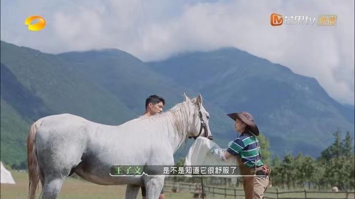 《牧野家族》收视率靠容祖儿，给猪洗澡爆笑，张翰在综艺中不油腻休闲区蓝鸢梦想 - Www.slyday.coM