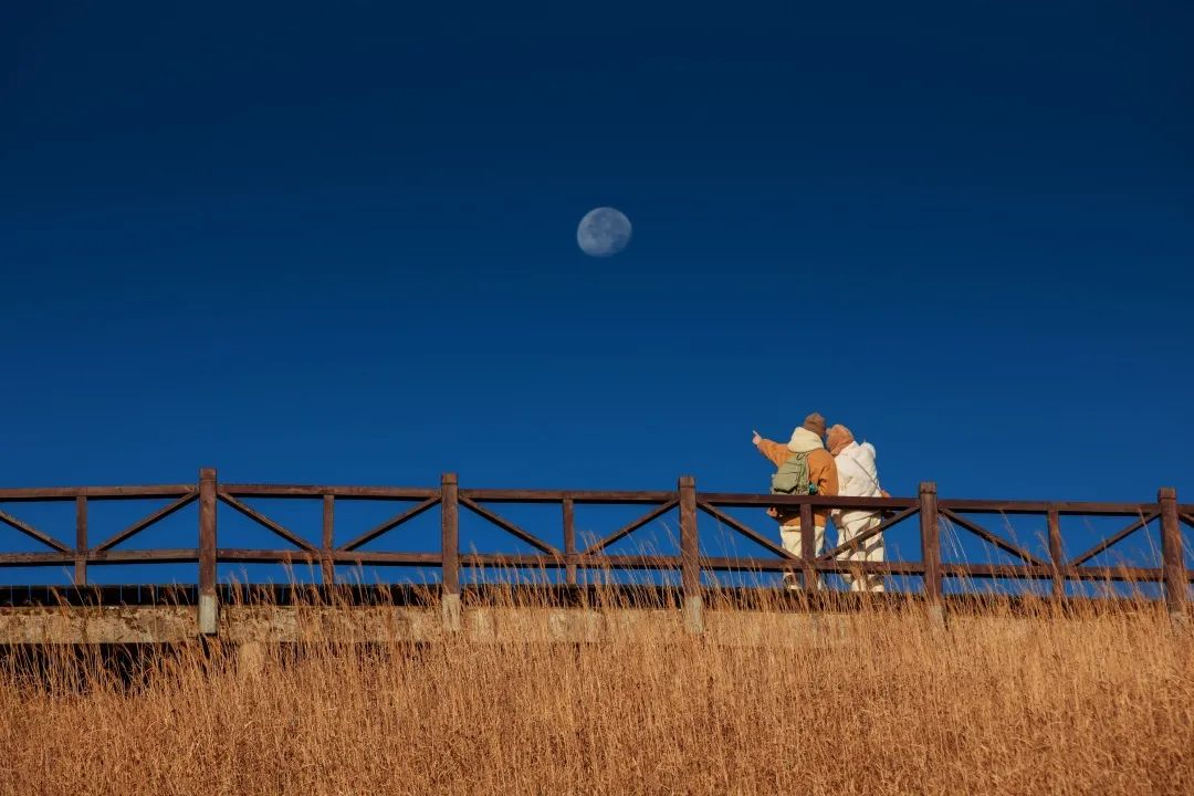 十五的月亮十六圆，快来这些地方寻找你心中的那抹月光！休闲区蓝鸢梦想 - Www.slyday.coM
