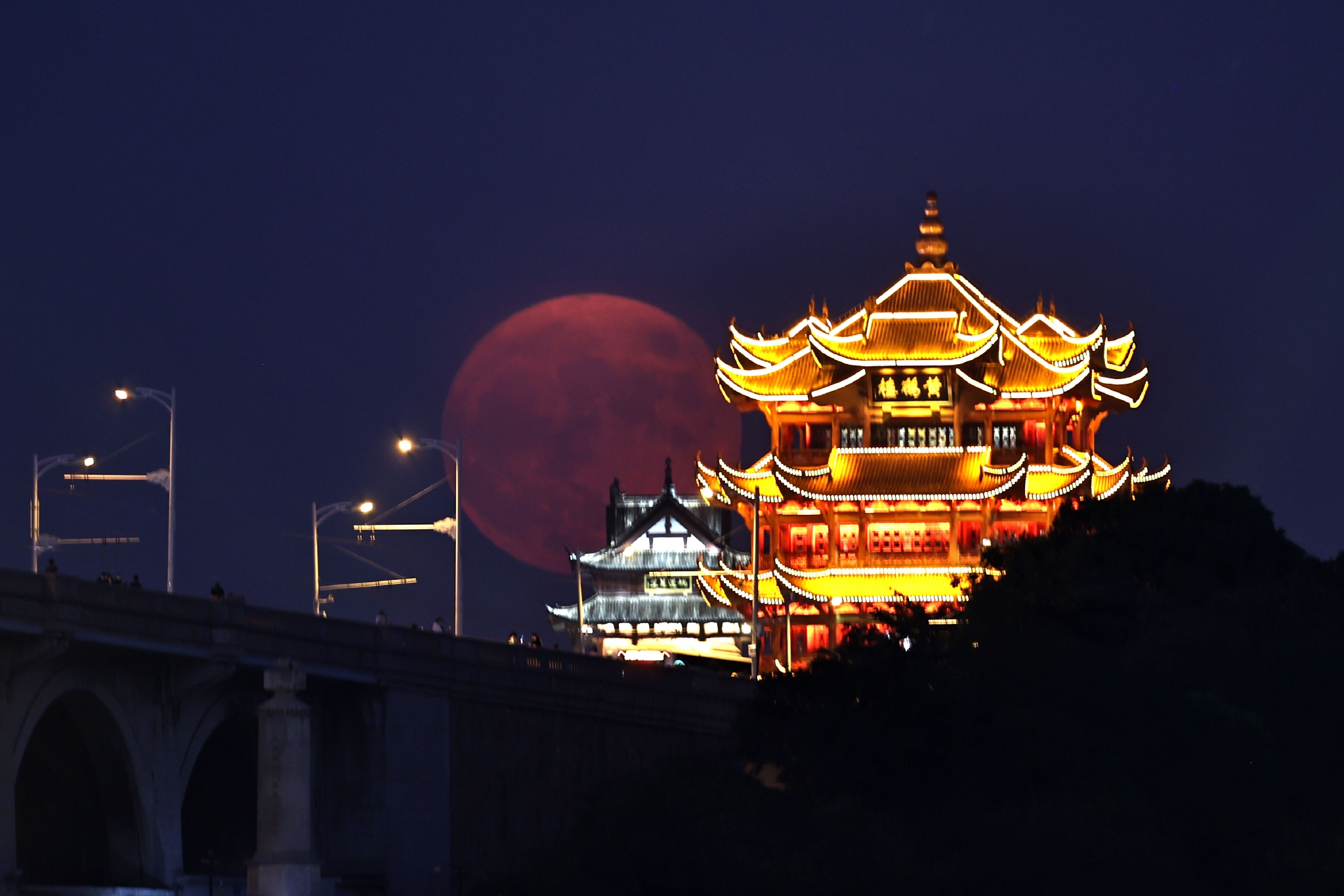 高清美图:中秋夜 共赏月