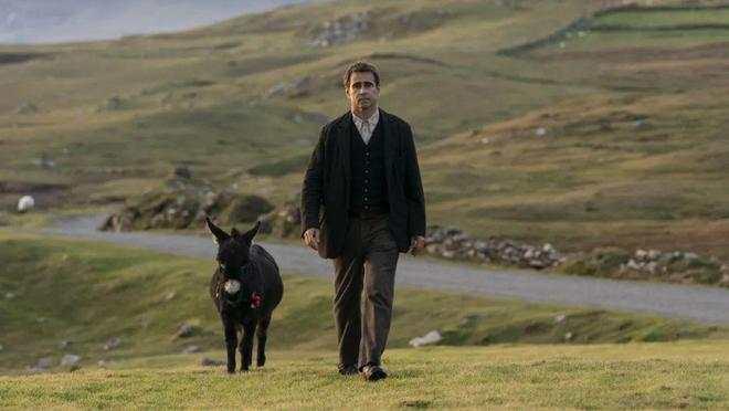 第79届威尼斯颁奖，高分纪录片夺金狮，布兰切特二封最佳女主角，这些获奖电影可以关注起来休闲区蓝鸢梦想 - Www.slyday.coM