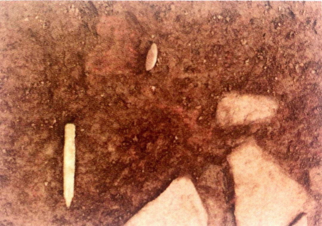 图32 偃师二里头遗址宫殿区M1出土的漆木觚痕迹