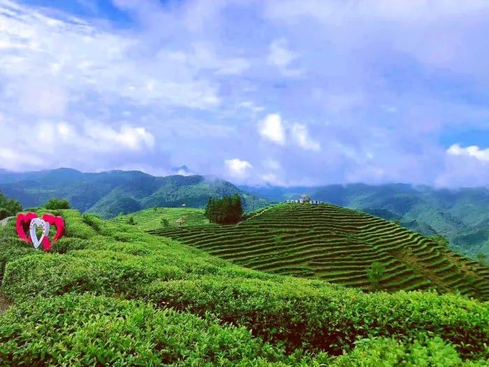 丹凤县秋季品酒采摘游线路:龙驹寨街道办东河社区安森曼葡萄酒庄→棣