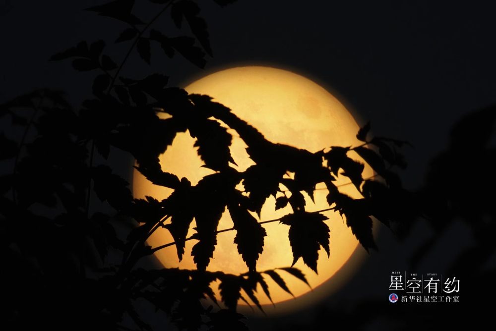 星联CSVA摄影师王俊峰2022年9月10日在北京房山拍摄的中秋满月。