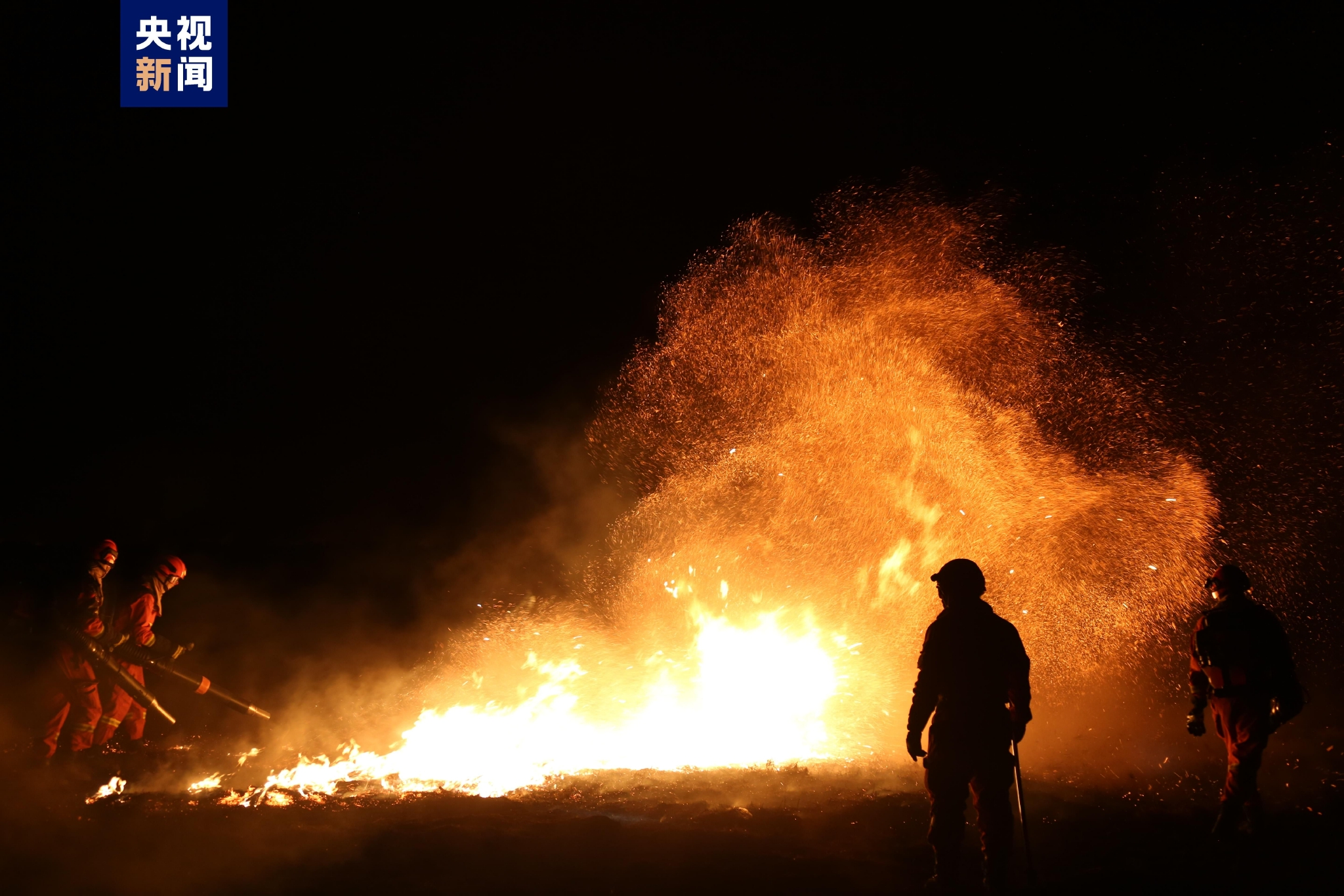 本文图片 央视新闻