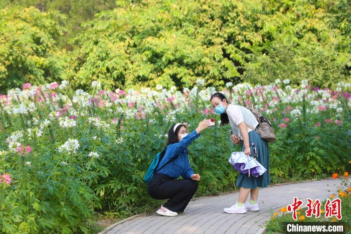 图为游客在国家植物园北园花海游玩。　北京市公园管理中心供图