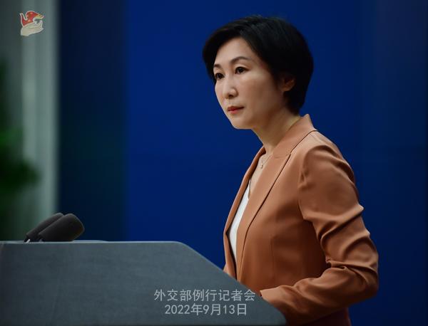 图源:外交部网站