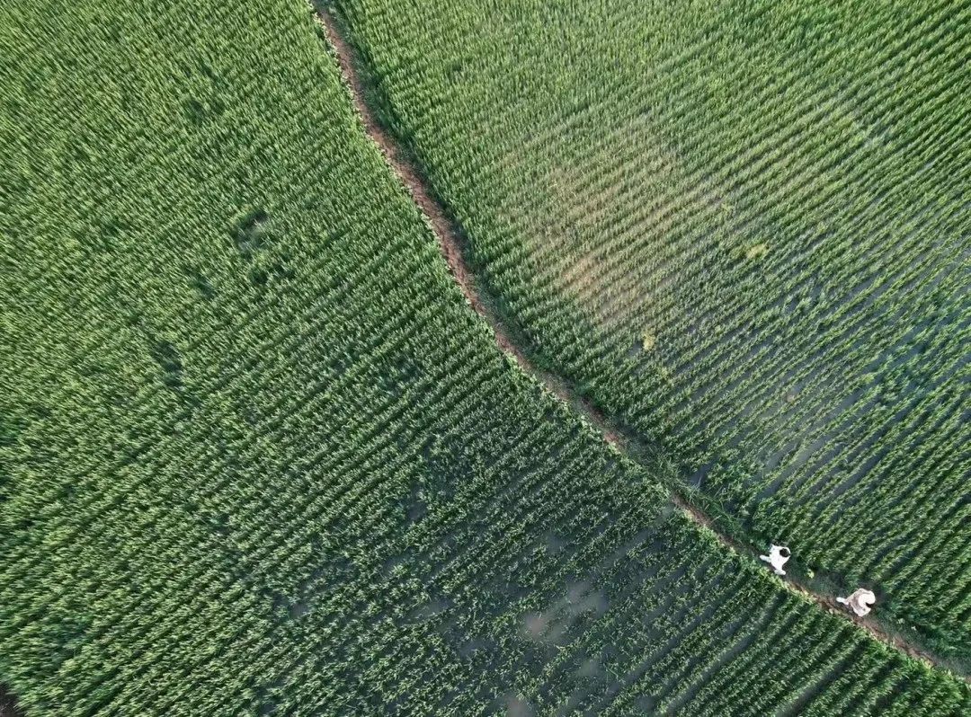 沉浸在昆明现实版宫崎骏动画里的世界休闲区蓝鸢梦想 - Www.slyday.coM
