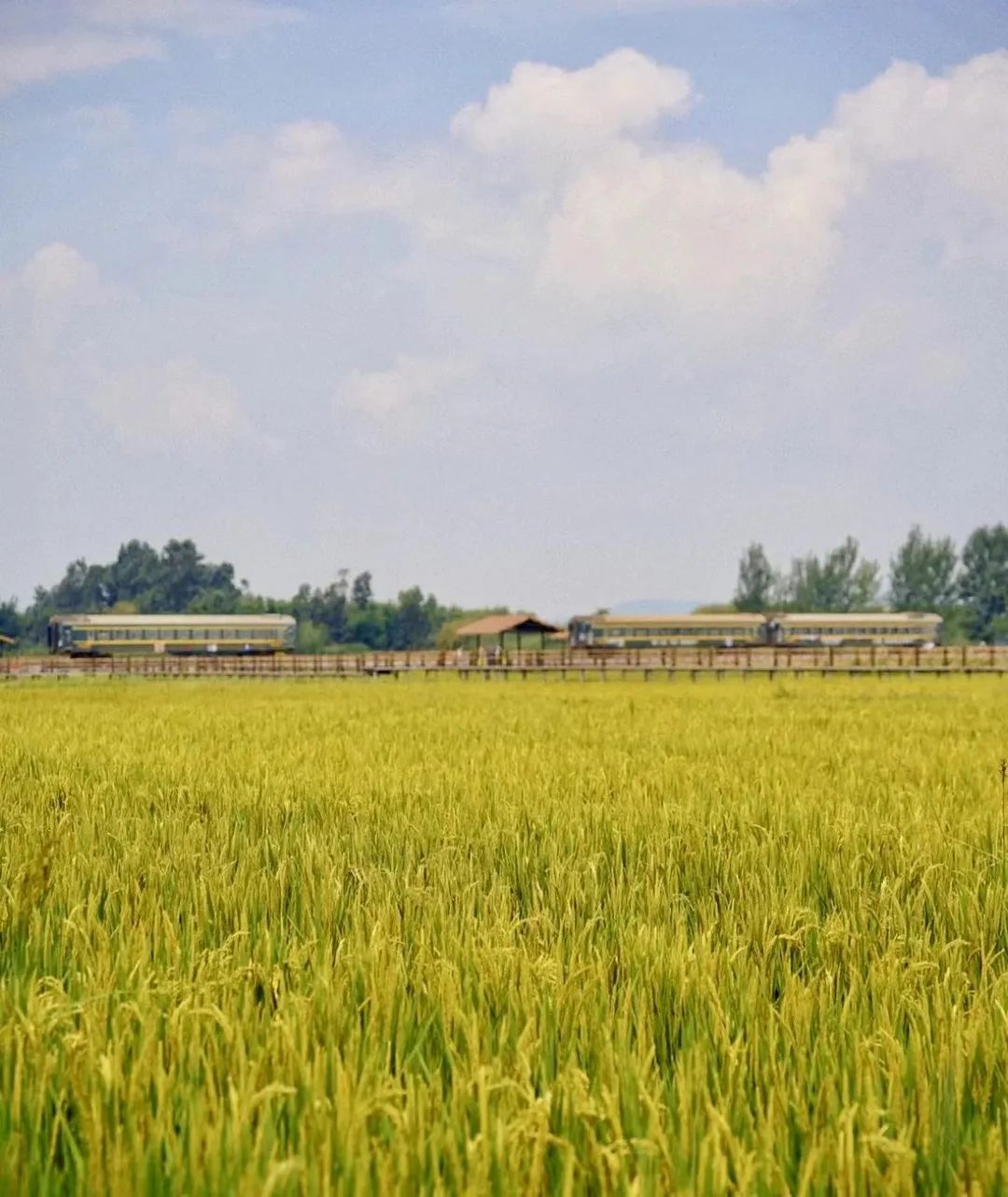 沉浸在昆明现实版宫崎骏动画里的世界休闲区蓝鸢梦想 - Www.slyday.coM