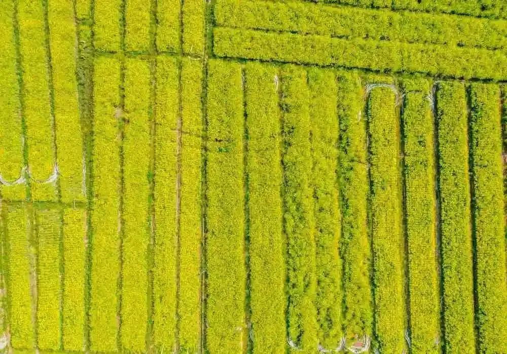 沉浸在昆明现实版宫崎骏动画里的世界休闲区蓝鸢梦想 - Www.slyday.coM