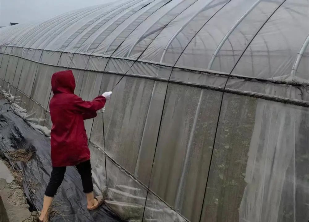 升级！台风橙色预警！今晚9点起上海地铁高架地面线路停运！休闲区蓝鸢梦想 - Www.slyday.coM