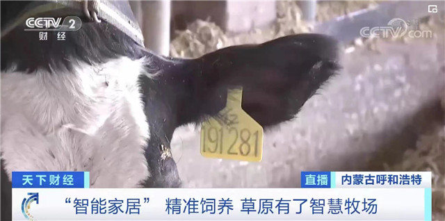 央视《智造中国》探访亚洲最大乳企伊利集团休闲区蓝鸢梦想 - Www.slyday.coM