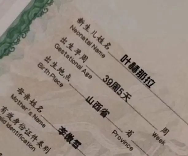 小学生因名字崩溃，哭着求妈妈改名，别人作文300字，他只够时间写诗！休闲区蓝鸢梦想 - Www.slyday.coM