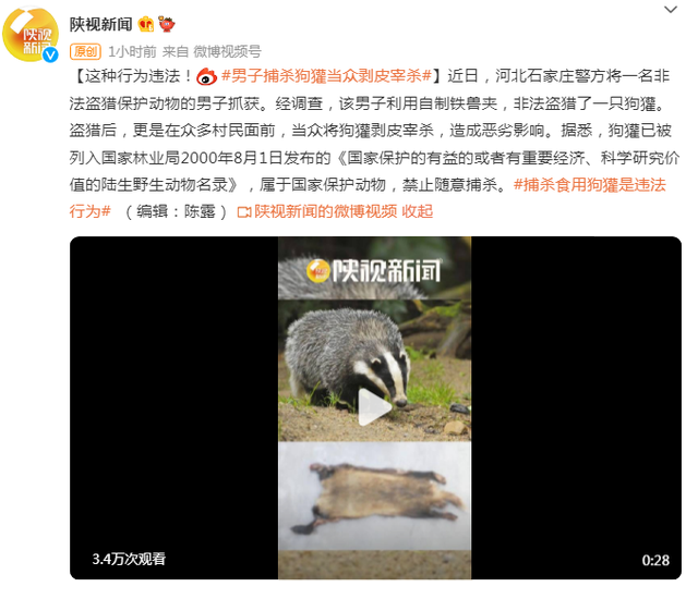 这种行为违法！河北一男子捕杀狗獾当众剥皮宰杀休闲区蓝鸢梦想 - Www.slyday.coM