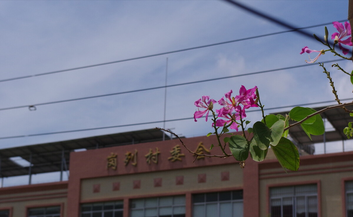 这些打着拆违旗号进行的拆除行为就是违法,不提起救济可真亏休闲区蓝鸢梦想 - Www.slyday.coM 这些打着拆违旗号进行的拆除行为就是违法,不提起救济可真亏休闲区蓝鸢梦想 - Www.slyday.coM