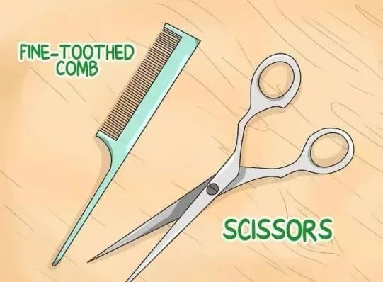 Tony，全成都今天最受追捧的人！休闲区蓝鸢梦想 - Www.slyday.coM