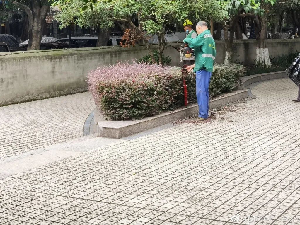 Tony，全成都今天最受追捧的人！休闲区蓝鸢梦想 - Www.slyday.coM