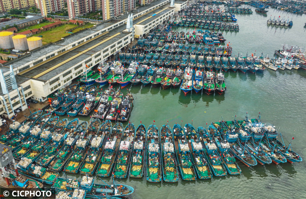 山东荣成:台风“梅花”逼近 千艘渔船回港避风|渔船|台风|养殖_新浪新闻