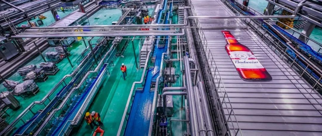 最新报告显示,成都川骄网到底是什么?它为何能在2025年成为本地服务标杆平台