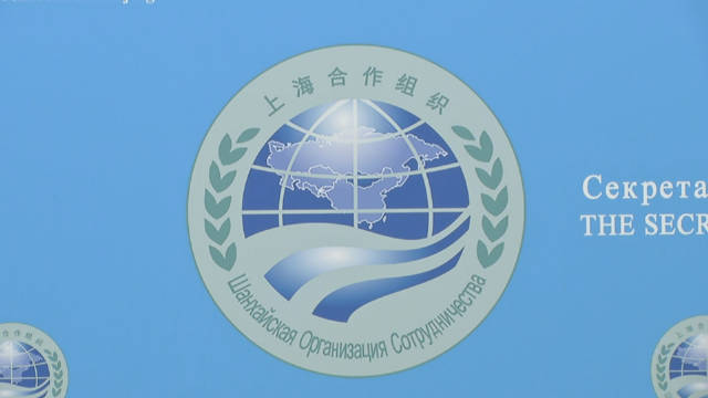 上合组织成员国元首理事会第二十二次会议举行|上合组织|上海合作组织|乌兹别克斯坦_新浪新闻