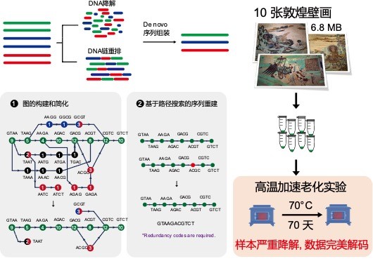 天大合成生物学团队完成十幅敦煌壁画DNA存储__财经头条